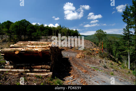 Forstwirtschaft Mid-Wales, Wales UK Stockfoto