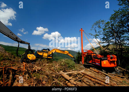 Forstwirtschaft Mid-Wales, Wales UK Stockfoto