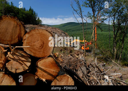 Forstwirtschaft Mid-Wales, Wales UK Stockfoto