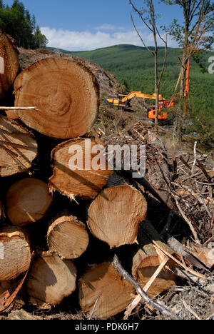 Forstwirtschaft Mid-Wales, Wales UK Stockfoto