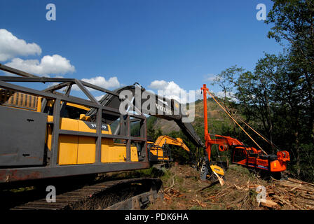 Forstwirtschaft Mid-Wales, Wales UK Stockfoto