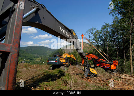 Forstwirtschaft Mid-Wales, Wales UK Stockfoto