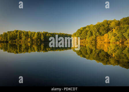 Bäume im Herbst, Reflexionen, See Stockfoto