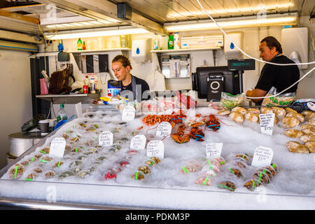 Abschaltdruck verkaufen frische Meeresfrüchte auf Anzeige in Arundel, einem kleinen Ferienort an der Südküste in West Sussex, UK im Sommer Stockfoto