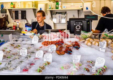 Abschaltdruck verkaufen frische Meeresfrüchte auf Anzeige in Arundel, einem kleinen Ferienort an der Südküste in West Sussex, UK im Sommer Stockfoto