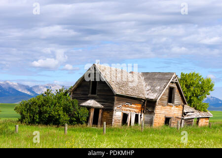 Alten, verlassenen Haus in einem Feld in der Nähe von Pincher Creek, Alberta, Kanada. Stockfoto