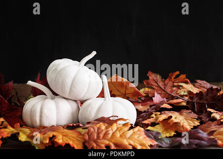 Herbstlaub um einen Stapel von drei weißen Kürbisse verstreut. Extrem flache Tiefenschärfe mit selektiven Fokus auf pumkins. Freier Platz für Text. Stockfoto