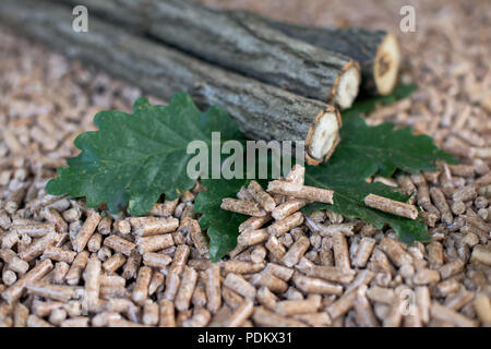 Baum sticks Eiche Holz, Blätter und Pellets aus solchen Materialien Stockfoto