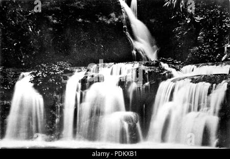 100 Queensland State Archive 1190 Elabana fällt in Nationalpark c 1930 Stockfoto