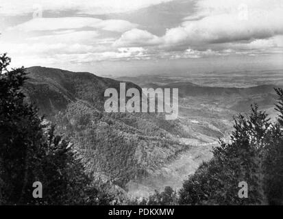 115 Queensland State archive 436 nach Osten von Bithongabel Lookout Lamington National Park richtung Mount Hobwee und die Tweed River Valley September 1933 Stockfoto