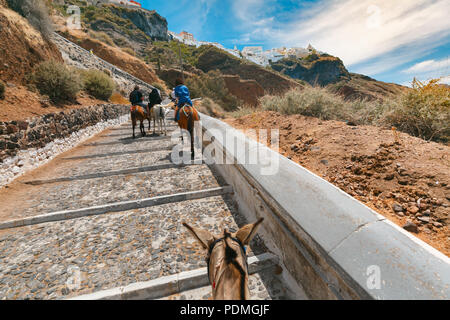 Touristen auf Esel steigen Sie die Treppen, Fira, Santorini Stockfoto