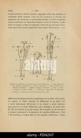 Annuaire du Conservatoire et du Jardin Botaniques de Genève Stockfoto