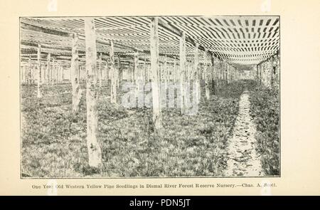 Jahresbericht der Nebraska State Gartenbaugesellschaft (Seite 67) Stockfoto