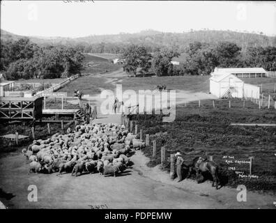 15 An der Schiene überfahrt, Bongalong, NSW (3593619399) Stockfoto