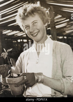 23 Betty Cuthbert, C. 1950 durch Ted Hood Stockfoto