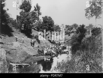 79 leichte Reiter Bewässerung ihrer Pferde in die Albert River in der Nähe von Mundoolun, 1909 Stockfoto