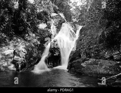 101 Queensland State Archive 1316 Jacobs Leiter fällt Mt Hypipamee c 1935 Stockfoto