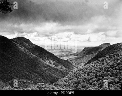 105 Queensland State Archive 2168 Mt Widgee und verlorene Welt Lamington National Park c 1945 Stockfoto