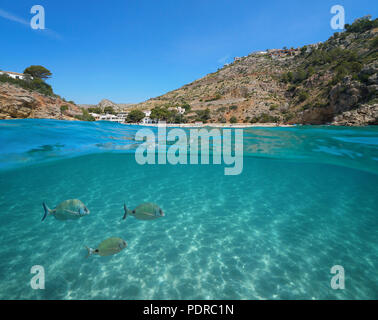 Spanien Javea Cala Granadella Strand mit Fisch und Sand unter Wasser, geteilte Ansicht oberhalb und unterhalb der Wasseroberfläche, Mittelmeer, Costa Blanca, Valencia Stockfoto