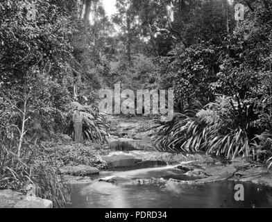 113 Queensland State archive 407 Morans Creek Lamington National Park Beaudesert Shire September 1933 Stockfoto