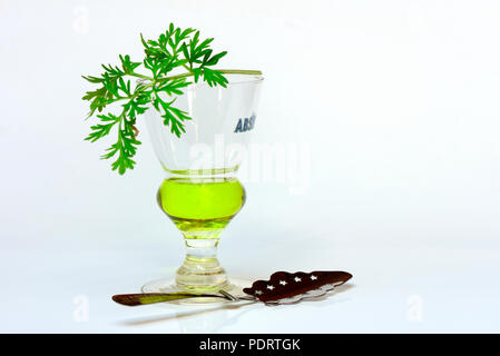 Glas Absinth, Wermutkraut und Absinthloeffel Stockfoto