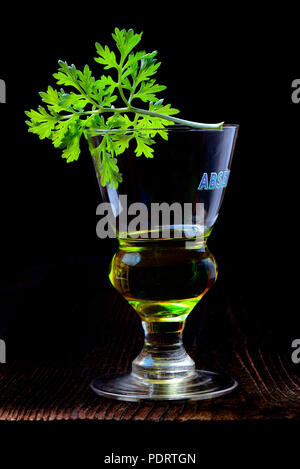 Glas Absinth mit Wermutkraut Stockfoto