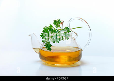 Wermuttee in Teekanne und Wermutkraut, Artemisia Absinthum Stockfoto