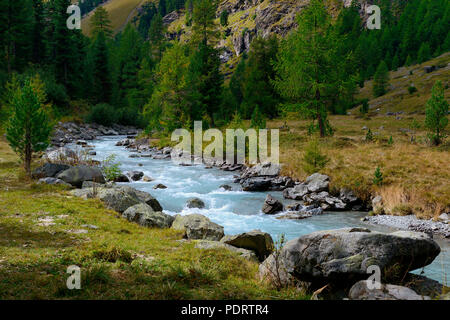 Val Roseg mit Fluss Ova da Roseg, Pontresina, Engadin, Kanton Graubünden, Schweiz, Europa Stockfoto