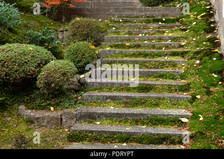 Moss Leiter alte Nass feucht Steintreppe im Wald Tempel Stockfoto