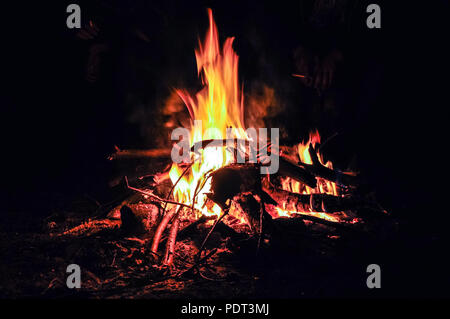 Brennen Lagerfeuer mit weich leuchtenden Flamme in der Nacht Wald Stockfoto