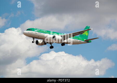 Aer Lingus Airbus A320 EI-CVC Landung in London Heathrow Flughafen, Großbritannien Stockfoto