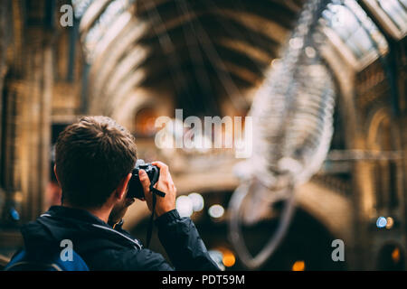 Natural History Museum London Stockfoto