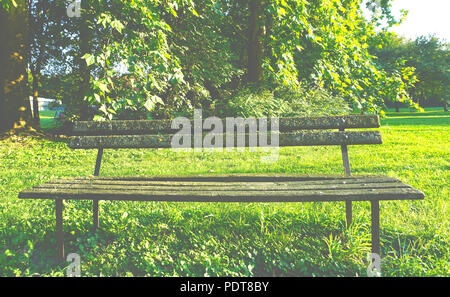 Schönen grünen Park mit alten Holzbank mit Moos im sonnigen Sommertag abgedeckt Stockfoto