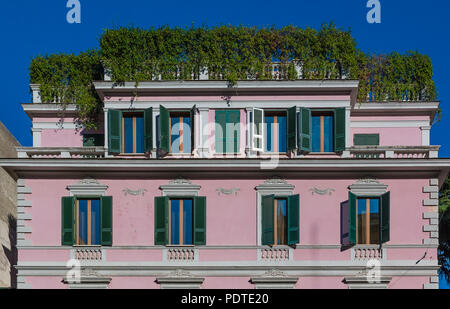 Reihen von alten Fenstern mit Fensterläden auf eine reich verzierte Fassade eines Mehrfamilienhauses mit Efeu Reben in Rom, Italien. Stockfoto