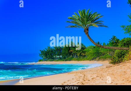 Palm Tree über einer tropischen Lagune Strand mit Blauer Himmel hängenden Stockfoto