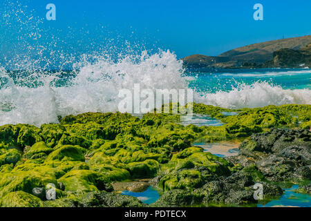 Ozean Wellen gegen bemoosten Tide Pools auf einem felsigen Strand in Oahu, Hawaii Stockfoto