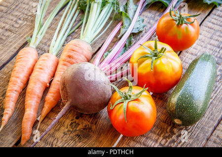 Karotten, rote Beete, Tomaten und Zucchini einfach nur im Garten auf Holzbrettern abgeholt. Frisches Gemüse Stockfoto