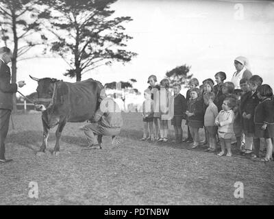 194 SLNSW 9528 Kinder sehen eine Kuh gemolken Dalwood Home, Stockfoto
