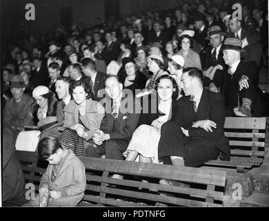194 SLNSW 9931 Abschnitt der Zuschauer auf der Tribüne Stockfoto