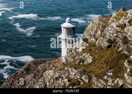 Sheeps Head Stockfoto