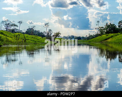 Malerischer Blick auf den Amazonas in der Nähe von Iquitos, Peru Stockfoto