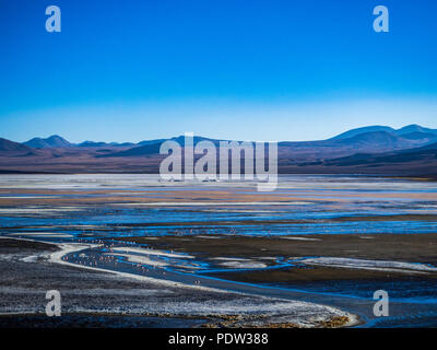 Bunte Lagune und Flamingos in der Laguna Colorado in Bolivien Stockfoto