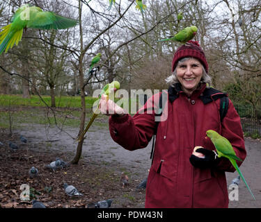 Eine Dame mit wilden Wellensittiche auf ihren Kopf und Arme Lächeln, da sie bietet Ihnen Apple in Kensington Gardens, London, UK zu essen. Bäume im Hintergrund. Stockfoto