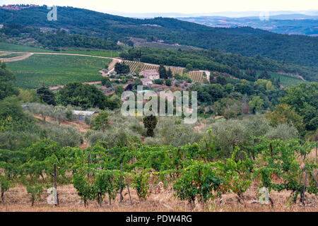 Typische Landschaft in der Region Chianti, Toskana, Italien, an der Straße von Castellina in Poggibonsi Stockfoto