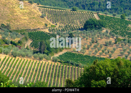 Typische Landschaft in der Region Chianti, Toskana, Italien, an der Straße von Castellina in Poggibonsi Stockfoto