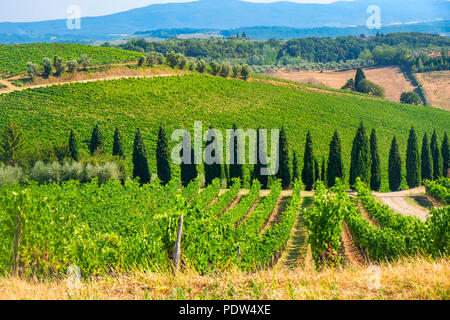 Typische Landschaft in der Region Chianti, Toskana, Italien, an der Straße von Castellina in Poggibonsi Stockfoto