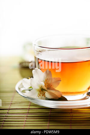 Jasmin Tee Tasse mit weißem Hintergrund Stockfoto