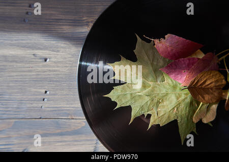 Blätter im Herbst und Samenkapseln auf einem vintage Vinyl Platten an der Seite über ein altes Holz Hintergrund mit Kopie Raum in einem konzeptionellen Bild platziert Stockfoto