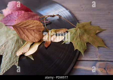 Blätter im Herbst und Samenkapseln auf einem vintage Vinyl Platten an der Seite über ein altes Holz Hintergrund mit Kopie Raum in einem konzeptionellen Bild platziert Stockfoto