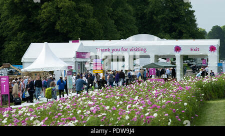 Home - Masse der Leute auf dem Weg zum Ausgang, vorbei an wunderschönen Display der Blüte cosmos-RHS Chatsworth Flower Show, Derbyshire, England, UK. Stockfoto